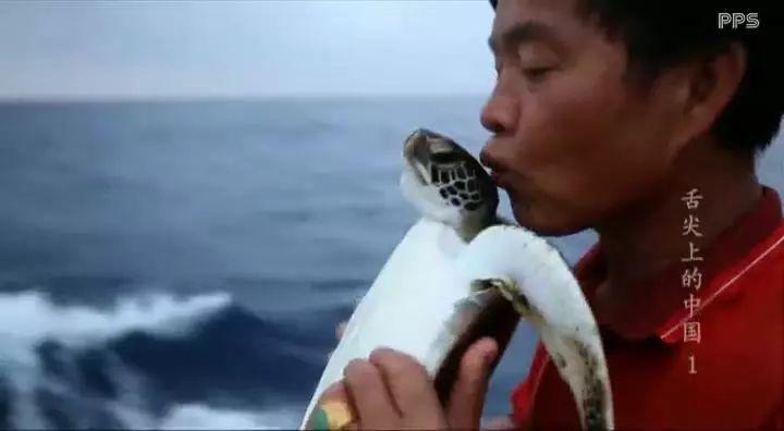 荒诞感镜头巡游